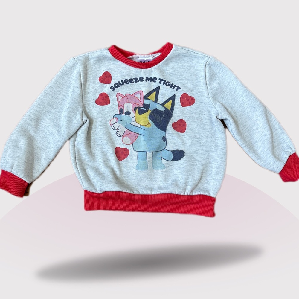 Bluey sweater